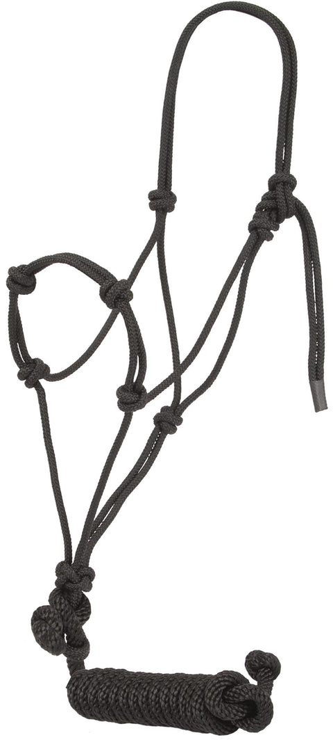 Mustang Training Halter & 12' Lead Set