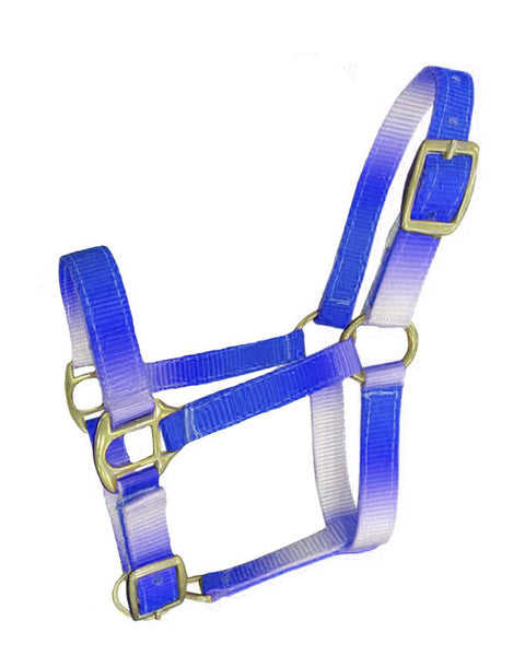 Showman® Foal/Mini Premium Nylon Ombré Halter