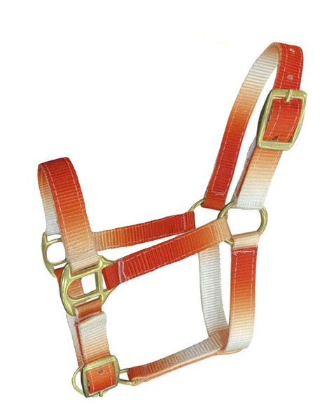 Showman® Foal/Mini Premium Nylon Ombré Halter