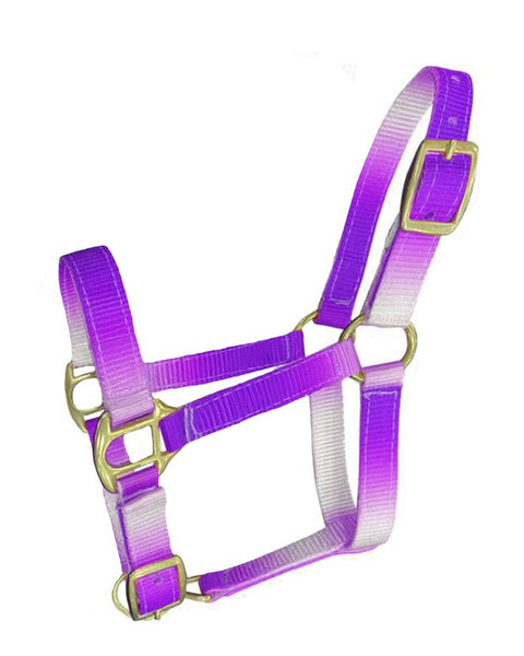 Showman® Foal/Mini Premium Nylon Ombré Halter