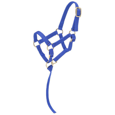 Tough1® Miniature Nylon Halter
