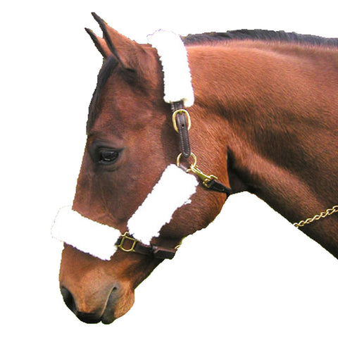 4-Piece Fleece Halter Tube Set