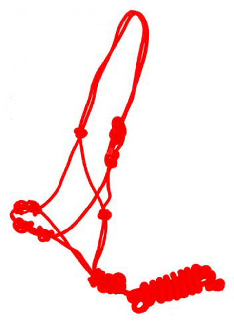 Four-Knot Cowboy Knot Training Halter with Removable Lead