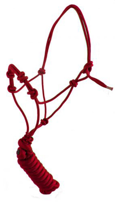 Yearling Size Four-Knot Cowboy Knot Training Halter with Lead