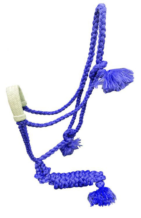 Showman® Woven Nylon Mule Tape Halter, Rawhide-Braided Nose & Lead