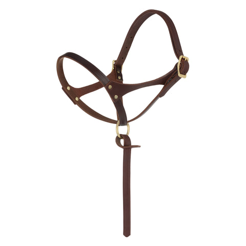 Figure-8 Foal Halter-Suckling 5/8"