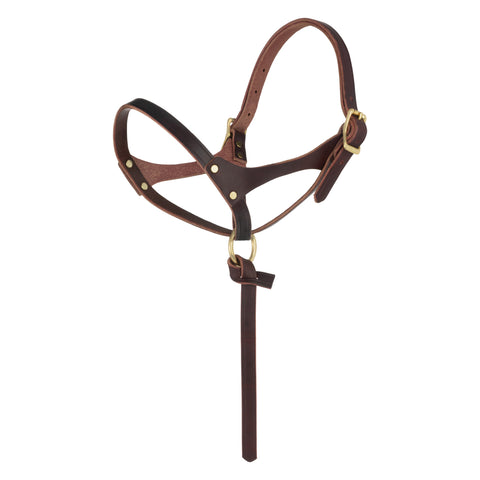 Figure-8 Foal Halter-Suckling 5/8"
