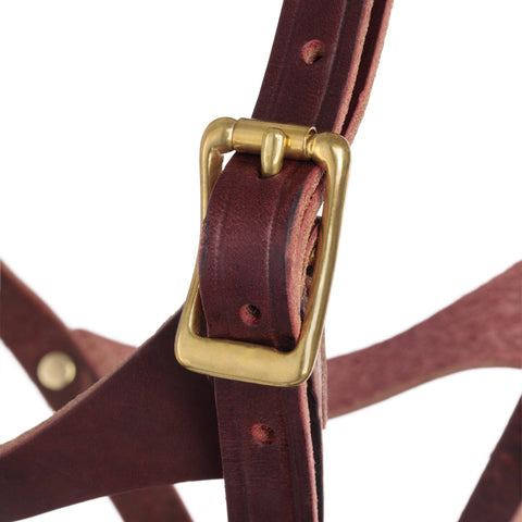 Figure-8 Foal Halter-Suckling 5/8"