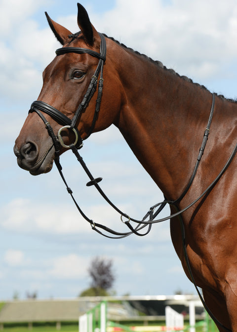 Collegiate® Syntovia+ Plain Flat Running Martingale