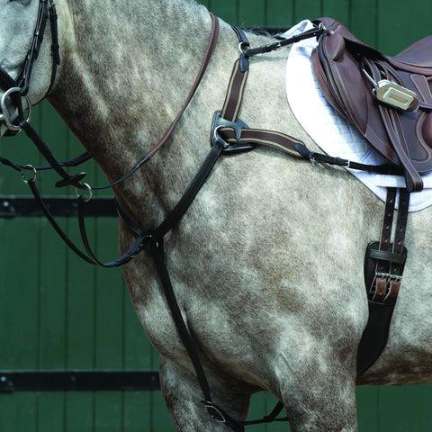 Collegiate® Essential 5-Point Breastplate