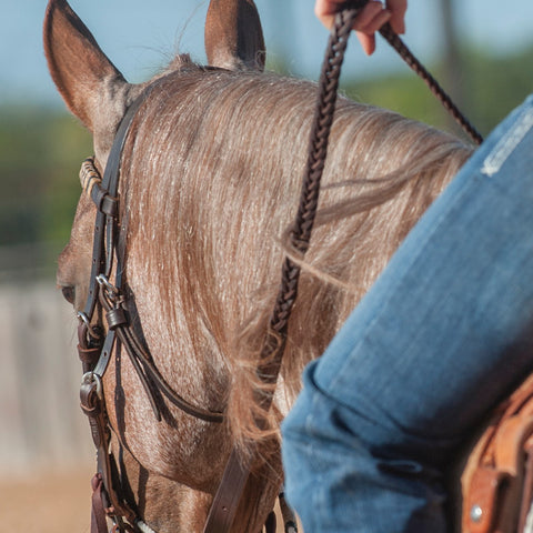 Martin Saddlery® Latigo Braided 5-Strand Roping Rein - 3/4"-Thick with Buckle Snap Ends