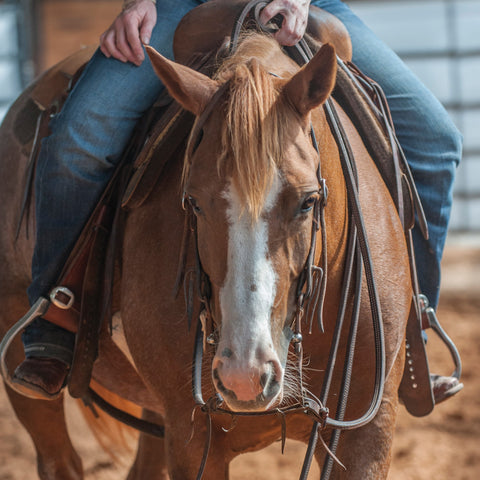 Martin Saddlery® Double-Stitched Heavy Latigo Split Reins - 5/8"-Thick with Tied Ends