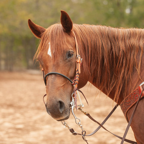 Martin Saddlery® Single Rope Noseband - Shrink Tube