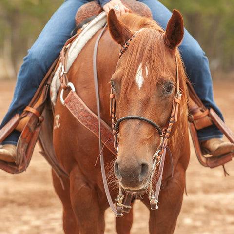 Martin Saddlery® Single Rope Noseband - Shrink Tube