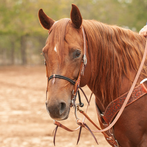 Martin Saddlery® Double Rope Noseband - Plain