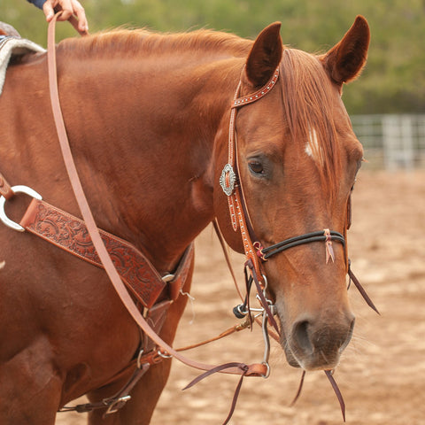 Martin Saddlery® Double Rope Noseband - Plain