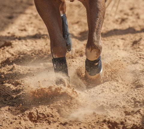 Classic Equine® Legacy2™ Support Boots - Front