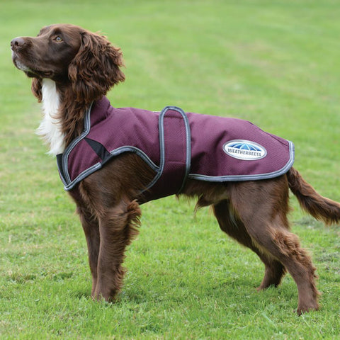 WeatherBeeta® ComFiTec™ Premier Free Parka Deluxe Dog Coat