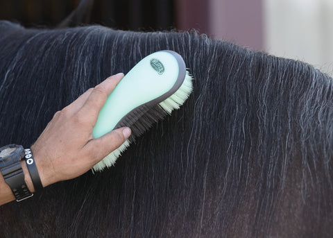 Dandy Brush