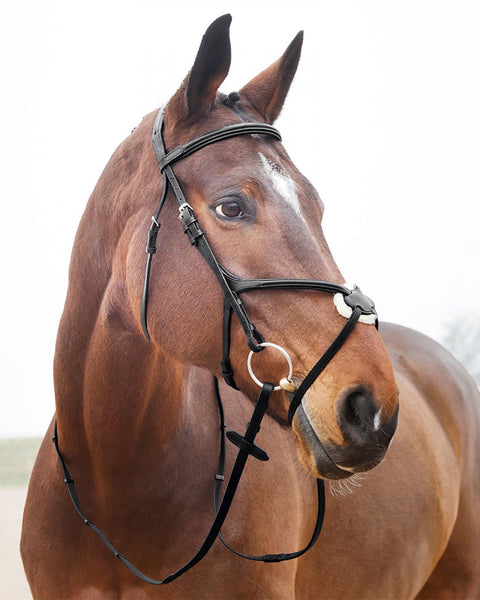 Horze Prescott Figure-8 Bridle