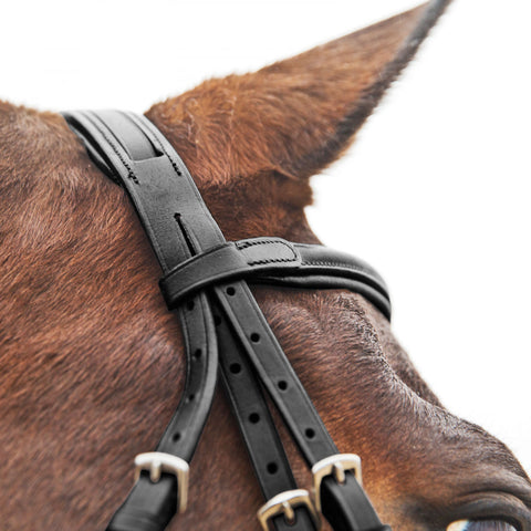 Horze Prescott Figure-8 Bridle
