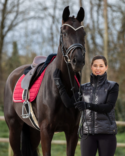 Horze Grayson Snaffle Bridle