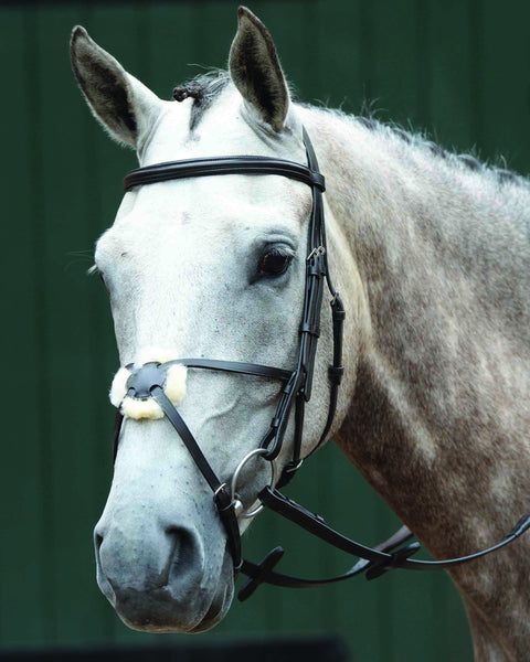 Collegiate® Essential Padded Raised Figure-8 Bridle