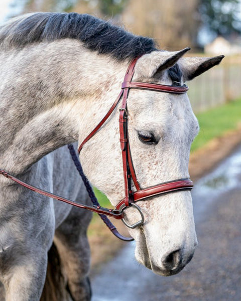 Grewal Equestrian™ St. Andrews Hunter Bridle