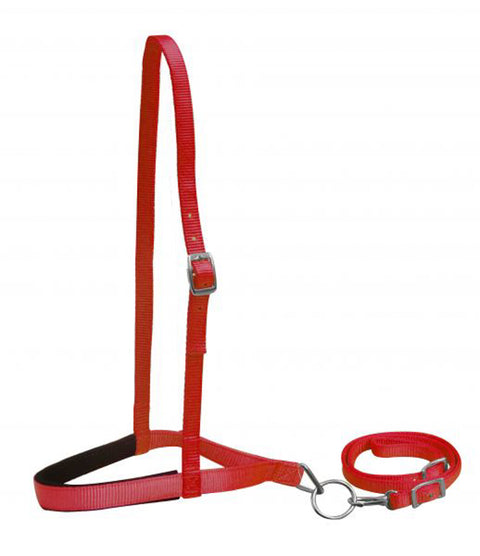 Showman® Premium Nylon Noseband & Tie Down