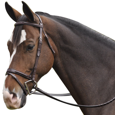 ExSelle Plain & Fancy Bridle with Flash