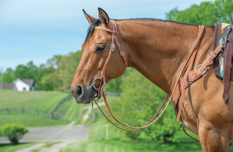 Weaver Leather® Buckstitch Split Ear Headstall, Hermann Oak® Russet, Dawn Collection