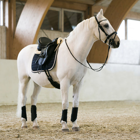 Horze Windsor Dressage Saddle Pad