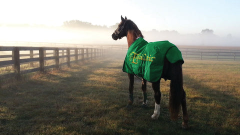 EquiOtic™ Daily Packets-30 day