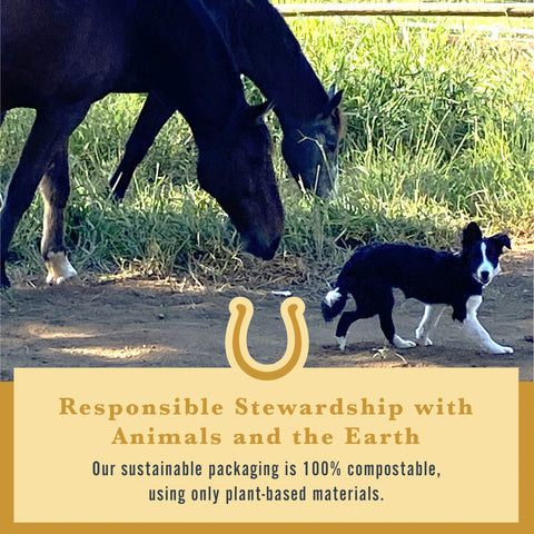 Withers & Withers Sugar-Free Cinnamon Nutra-Treats for Horses