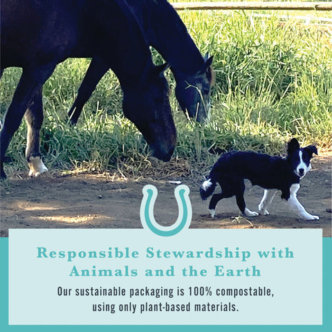 Withers & Withers Sugar-Free Peppermint/Marshmallow Nutra-Treats for Horses