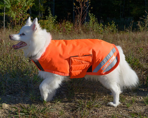 Shires Digby & Fox L-XXL Waterproof Dog Coat