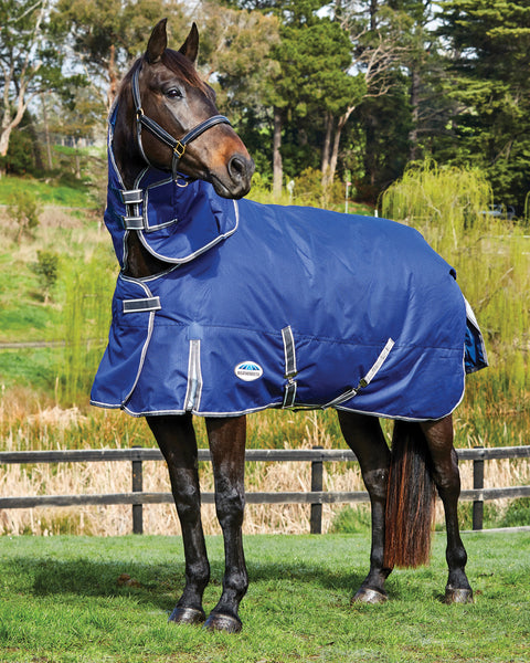 WeatherBeeta® ComFiTec™ Premier Free II Detach-A-Neck Medium-Weight Turnout Blanket