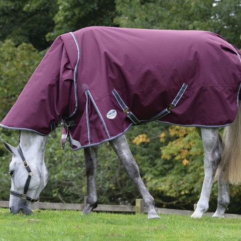WeatherBeeta® ComFiTec™ Plus Dynamic II Detach-A-Neck Medium-Weight Turnout Blanket