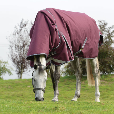 WeatherBeeta® ComFiTec™ Plus Dynamic II Detach-A-Neck Medium-Weight Turnout Blanket