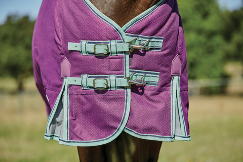 WeatherBeeta® Pony ComFiTec™ Premier Free II Detach-A-Neck Medium-Weight Turnout Blanket