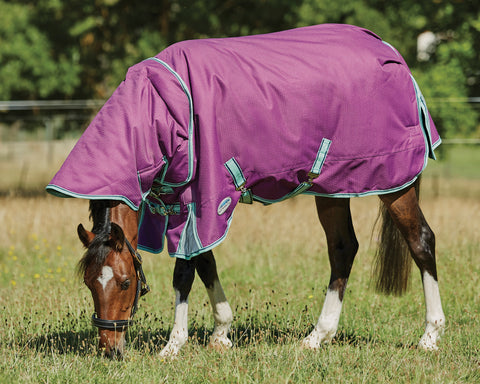 WeatherBeeta® Pony ComFiTec™ Premier Free II Detach-A-Neck Medium-Weight Turnout Blanket