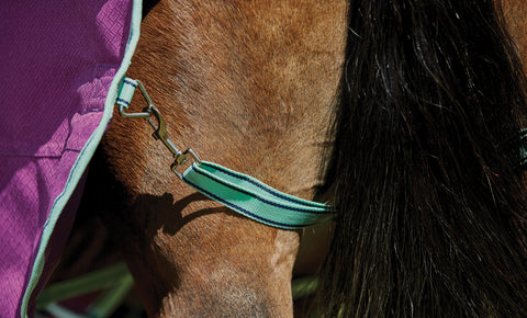 WeatherBeeta® Pony ComFiTec™ Premier Free II Standard Neck Lite Turnout