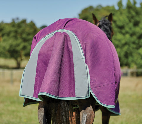 WeatherBeeta® Pony ComFiTec™ Premier Free II Standard Neck Lite Turnout