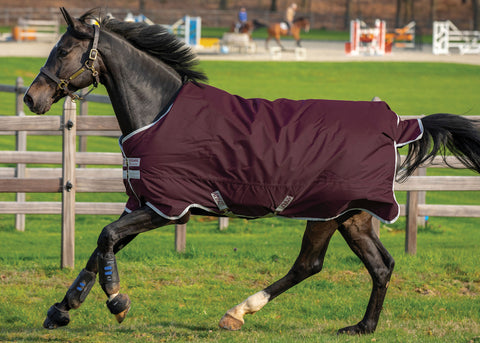 Horseware® Ireland Amigo® Hero Ripstop Turnout Blanket