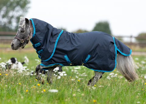 Horseware® Ireland Amigo® Hero 6 Petite Plus Medium-Weight Turnout