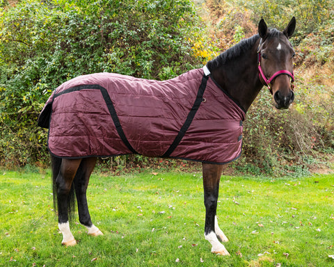 Snuggie Heavyweight Stable Blanket, Small