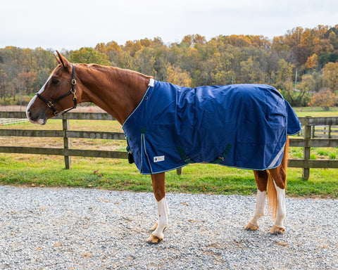 Pro-Trainer 1200D Medium-Weight Turnout Blanket with Detachable Neck Cover