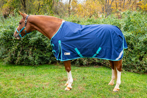 Pro-Trainer 1200D Turnout Sheet with Detachable Neck Cover