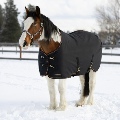 Kensington™ Signature Heavyweight Draft Turnout Blanket
