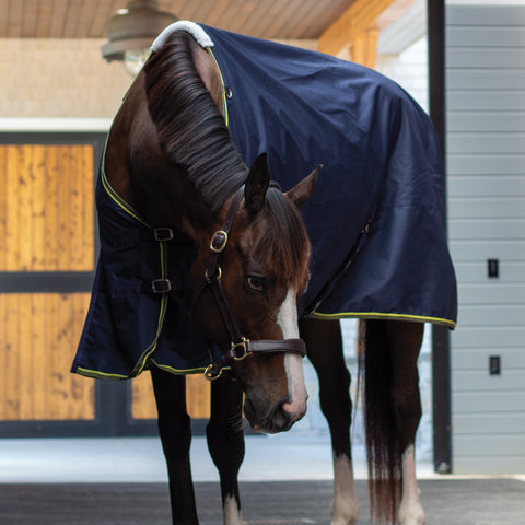 Asker 0g Rain Sheet & Neck Set